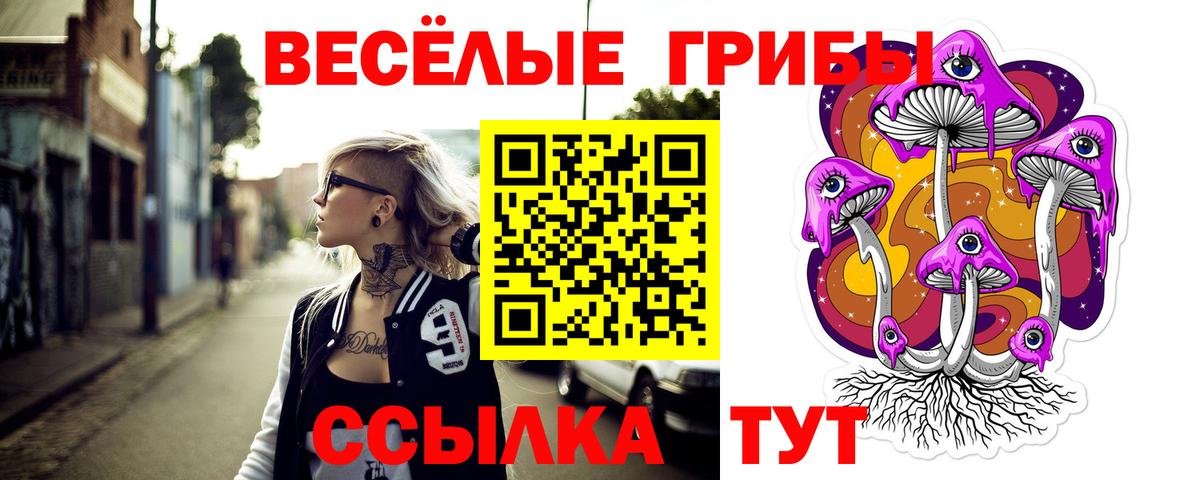 Псилоцибиновые грибы Psilocybine cubensis Рассказово